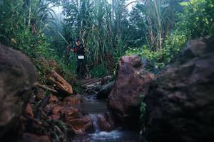 BIB: 
                            <button type="button" onclick="openModal(26420692)" class="btn btn-primary btn-sm float-right btn-popup" data-toggle="modal" data-target=".modal-high-quality">
                        <i class="fas fa-shopping-cart"></i> Add to Cart
                    </button>
                                            <button type="button" onclick="isThisMe(26420692, true)" class="btn btn-success btn-sm float-right btn-popup btn-isme hidden" data-toggle="tooltip" data-placement="bottom" title="นี่คือรูปของคุณใช่ไหม คลิกที่นี่เพื่อเอาเข้าอัลบั้ม">
                        <i class="fas fa-plus"></i> Add to album
                    </button>
                    <button type="button" onclick="isThisMe(26420692, false)" class="btn btn-warning btn-sm float-right btn-popup btn-isnotme hidden">
                        <i class="fas fa-ban"></i> Remove from album
                    </button>